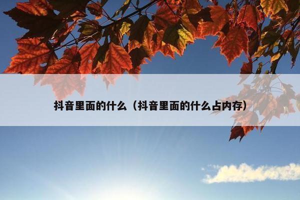 抖音里面的什么（抖音里面的什么占内存）